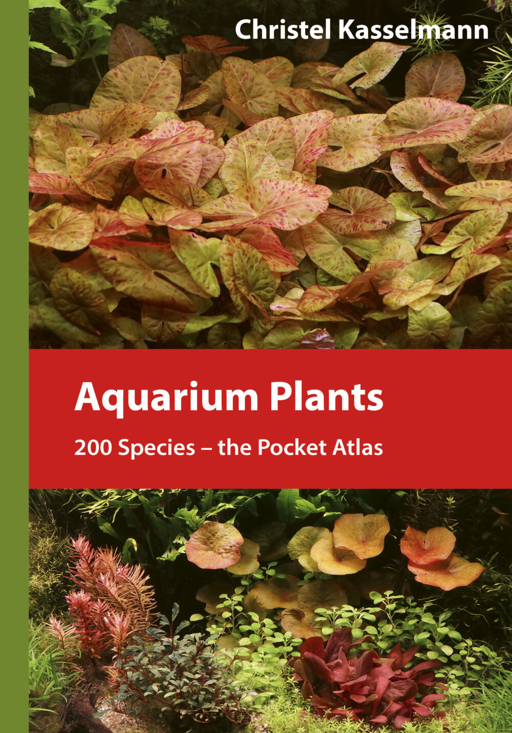Aquarium Plants