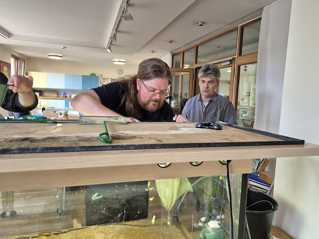 Neugestaltung Aquarium im Kinderhospiz Sonnenhof