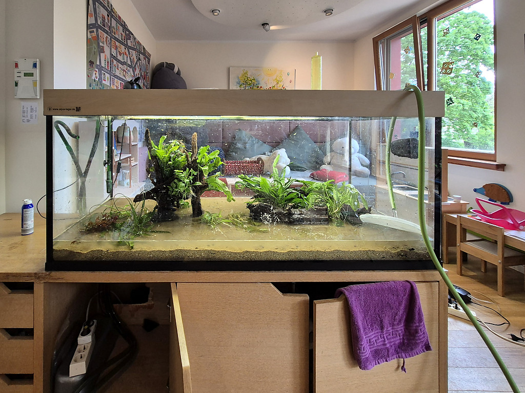 Neugestaltung Aquarium im Kinderhospiz Sonnenhof