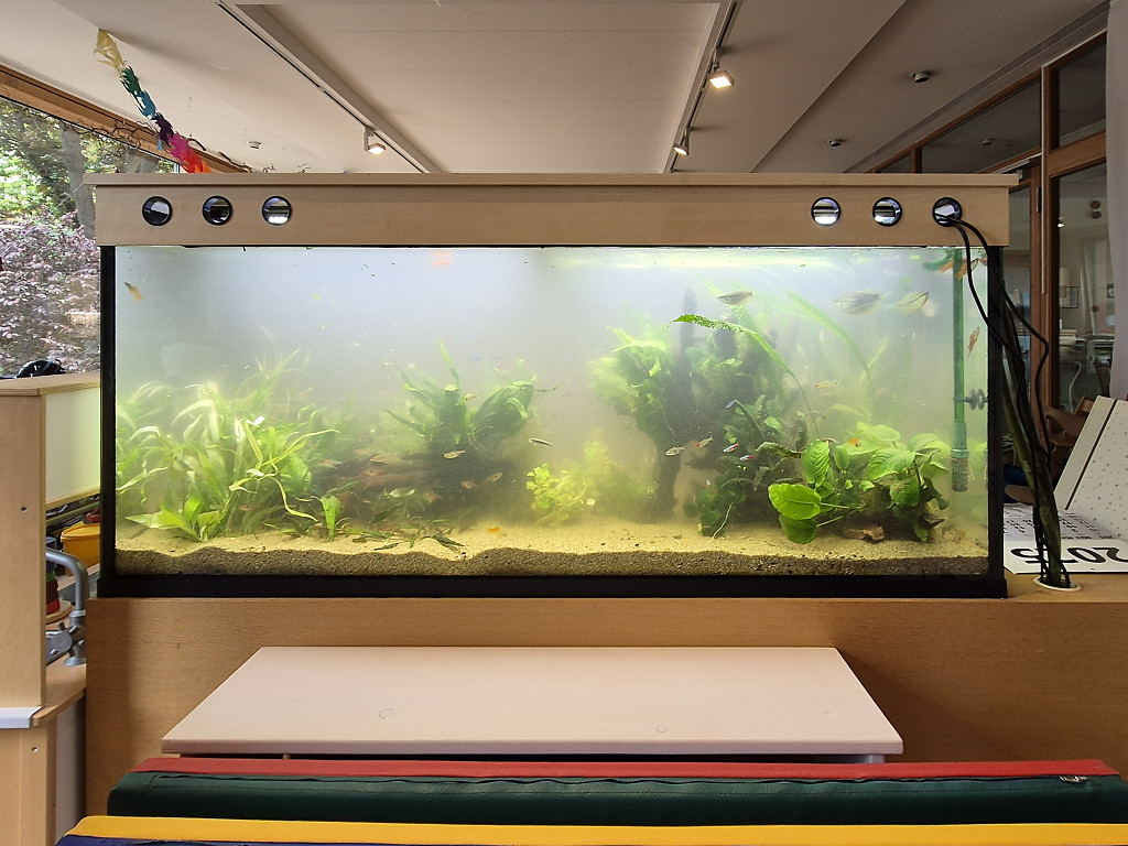Neugestaltung Aquarium im Kinderhospiz Sonnenhof