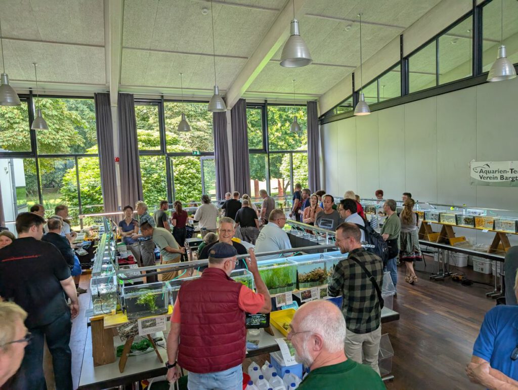 Börse Bargdeheider Verein